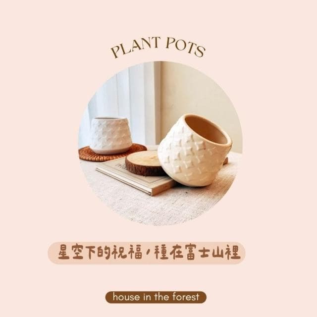 陶盆 富士山星形花盆 多肉仙人掌適用 花瓶 觀葉植物 多肉植物 植栽 植物 星星雪頂設計