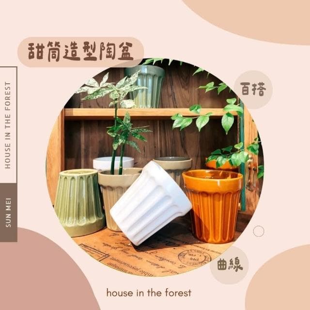 陶盆 甜筒造型陶盆 莫蘭迪色系 花盆 花器 陶盆 花架 花瓶 觀葉植物 多肉植物 植栽 植物