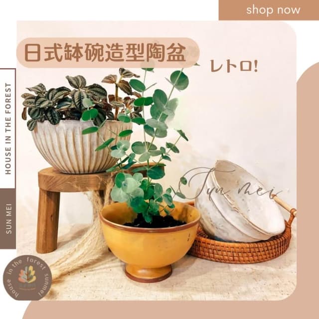 陶盆 日式缽碗陶盆 苔玉盆景 茶室美學 日式侘寂風 美濃燒風格盆器 多肉植物盆栽
