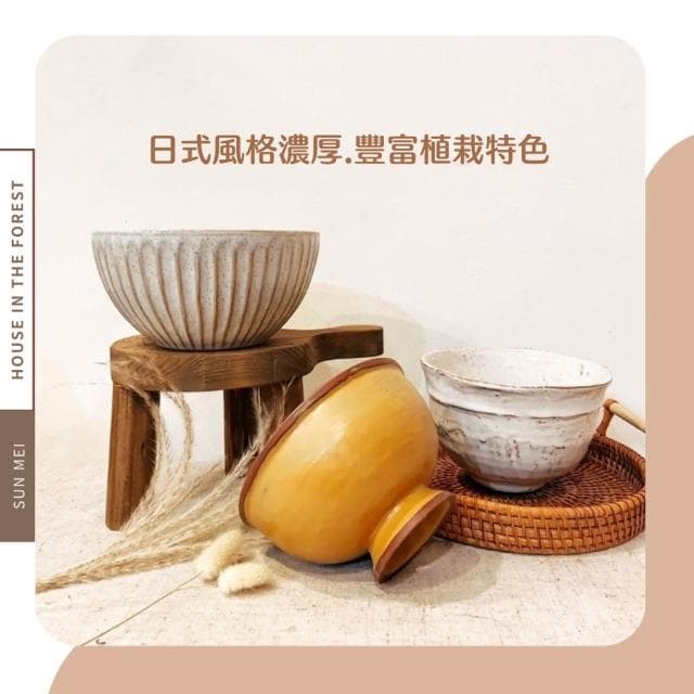 陶盆 日式缽碗陶盆 苔玉盆景 茶室美學 日式侘寂風 美濃燒風格盆器 多肉植物盆栽