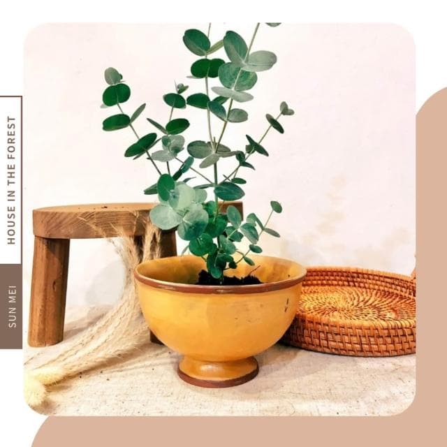 陶盆 日式缽碗陶盆 苔玉盆景 茶室美學 日式侘寂風 美濃燒風格盆器 多肉植物盆栽