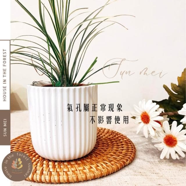 陶盆 線條直筒白陶盆 極簡線條 花盆 花器 盆器 花瓶 觀葉植物 多肉植物 塊根植物 居家植栽 辦公室植栽