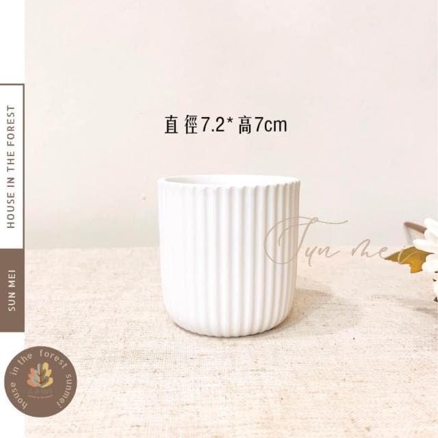 陶盆 線條直筒白陶盆 極簡線條 花盆 花器 盆器 花瓶 觀葉植物 多肉植物 塊根植物 居家植栽 辦公室植栽