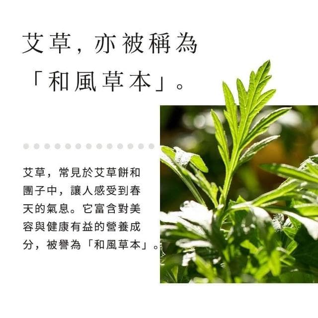 【ogaland】日本艾草茶包 150g 日本進口 養生茶 無咖啡因 艾草茶 天然草本 無添加 德島艾草茶 艾草舒壓飲 