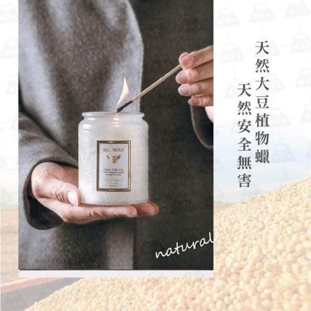 【職日生】浮雕蠟燭-450g(香氛蠟燭 精油蠟燭 芳香蠟燭 大豆蠟燭 薰香蠟燭 香薰蠟燭 生日禮物 畢業禮物)