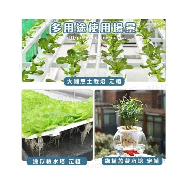 台灣現貨 ️魚菜共生 無土栽培 定植籃 水耕植物 定植盆 水培植物 水耕 水培花盆 水耕盆栽 定植棉 水培定植籃 定植