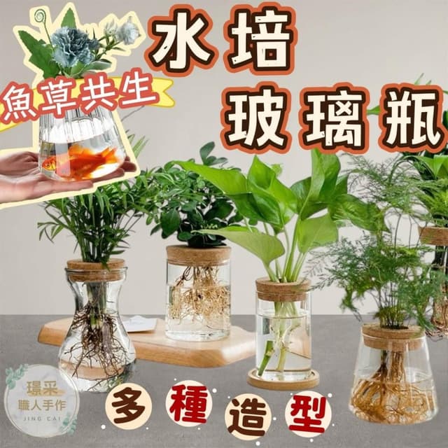 【璟采職人】水培玻璃瓶 水培花盆 水培盆栽 生態瓶 盆栽容器 水耕花盆 盆器 水耕瓶 水培瓶 水養植物瓶 水養植物