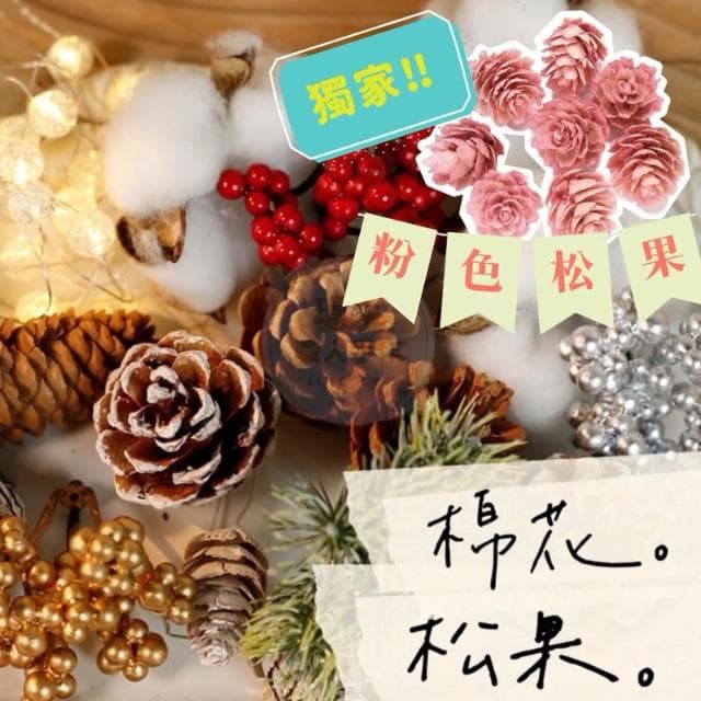 【璟采職人】松果 美國松 原色松果 松塔 乾燥花材 果實 聖誕裝飾 聖誕配件 聖誕節 聖誕樹 聖誕佈置 藤圈配件 禮物