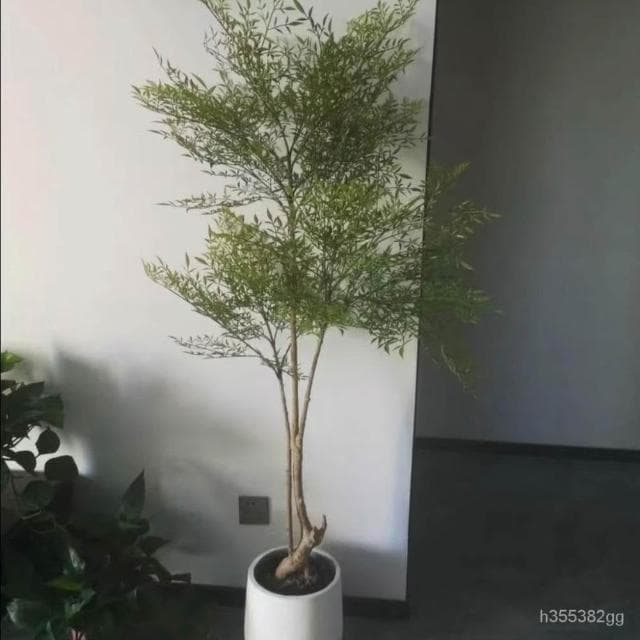 熱銷 可開發票 北歐ins風仿真南天竹植物盆栽仿真綠植大型室內客廳綠植落地裝飾