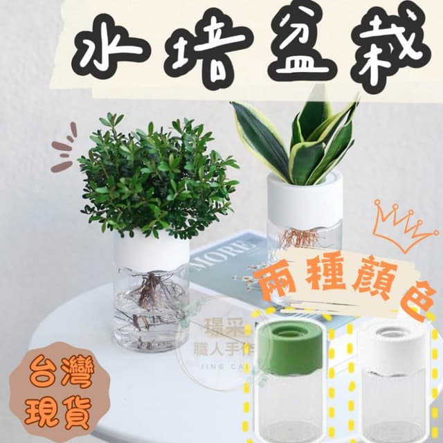 【璟采職人】水培花盆 水培盆栽 自吸水盆栽 塑膠花盆 盆栽容器 水耕花盆 樹脂花盆 盆器 水耕瓶 水培瓶 水養植物瓶 水