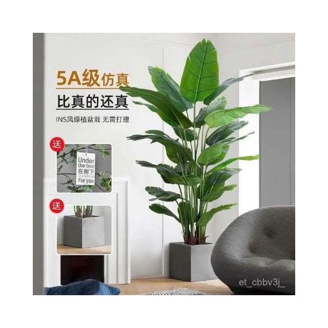 熱賣🔥天堂鳥仿真綠植高端輕奢仿生花客廳大型室內盆栽擺件裝飾樹假植物 居傢裝飾 仿真植物 人造樹 假樹 假植物