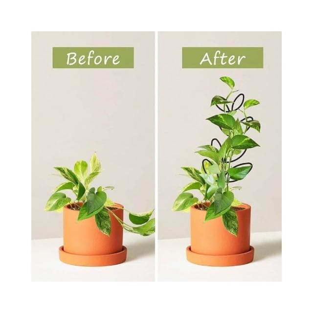 《斑啾植選》造型攀爬架-花園系列(造型花架｜山烏龜架｜金屬支架｜綠蘿支架｜盆栽用支架｜植物攀爬支架)