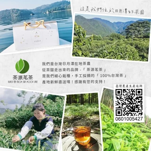 【茶源茗茶】烏龍茶包 冬片 金萱 翠玉 四季 凍頂 紅玉 阿薩姆 山茶 紅韻2.5g/包(日月潭紅茶 烏龍茶 高山茶 紅茶包)