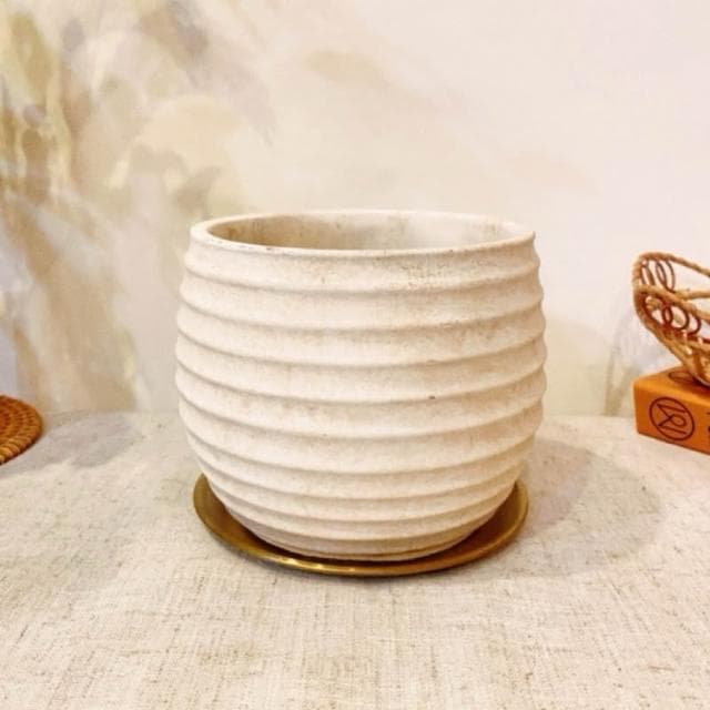 陶盆 日式侘寂橢圓盆 花器 花瓶 盆器 居家布置 居家裝飾 植物 植栽 觀葉 居家植物