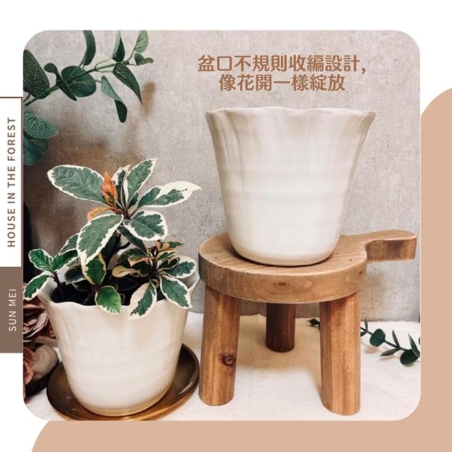 陶盆 花朵白陶盆 陶瓷盆 盆器 花盆 花器 日式風 觀葉植物 多肉植物 虎尾蘭 辦公室植栽花盆