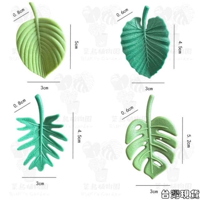 沐晨植物園｜觀葉植物冰箱貼 冰箱貼 質感 植物冰箱貼 植物周邊商品 植物配件 送禮 龜背芋冰箱貼 療癒 交換禮物