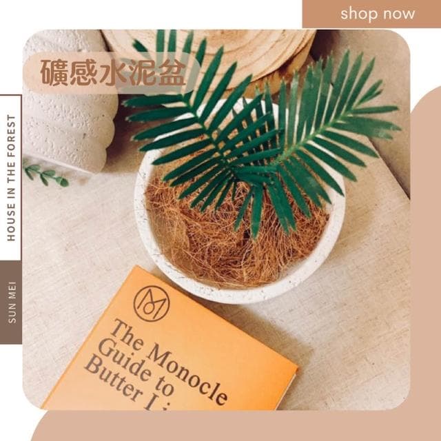 水泥盆 礦感水泥盆 厚實水泥 盆器 盆栽 園藝 植栽 植物 觀葉植物 多肉 塊根 仙人掌