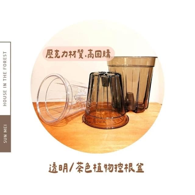 透氣盆 硬式植物控根盆  透氣盆 盆栽 換盆神器  穩根花盆  透明/茶色PVC