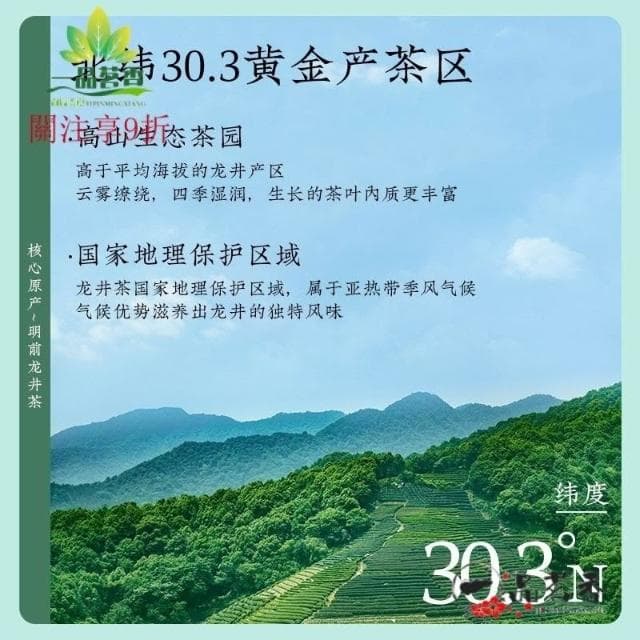 阿四嫂  茗傑龍井茶葉 2023新茶一級雨前春茶豆香型嫩芽濃香型罐裝茶125g
