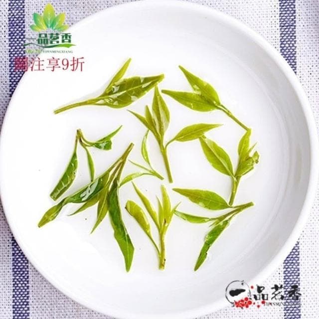 阿四嫂  3罐裝戀綠小葉苦丁茶正品會複活的青山綠水2023新茶四川特色茶