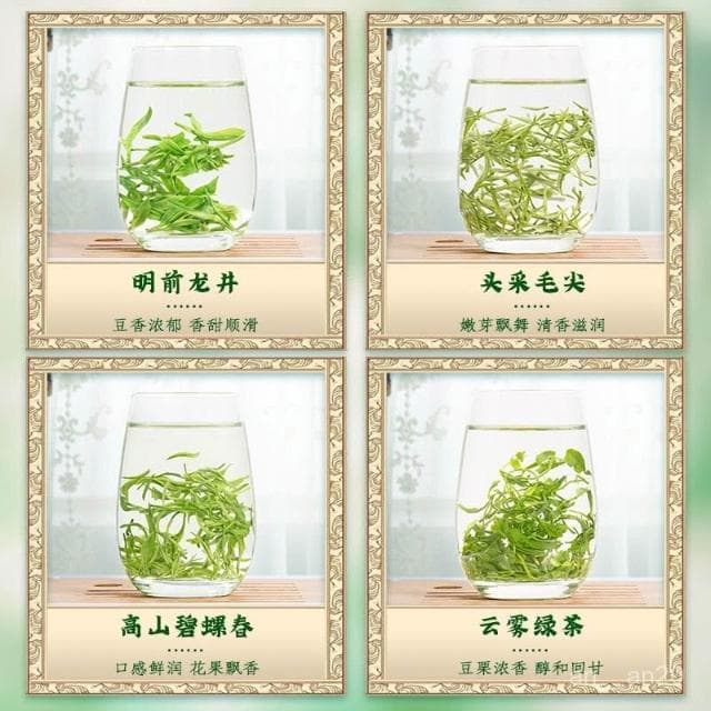 【2.1萬人收藏】冠茗春四大綠茶龍井茶毛尖碧螺春雲霧綠茶新茶罐裝茶葉禮盒裝500g