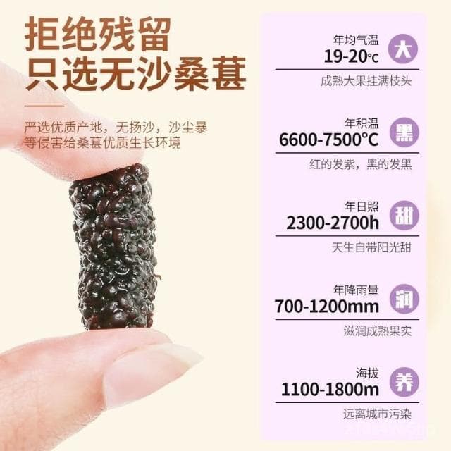 頌潮桑葚乾桑葚果乾新疆黑桑椹果桑葚乾泡水喝泡茶食用水果茶