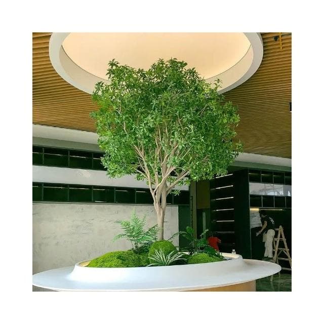 🌿🎈高端馬醉木 仿真植物 櫥窗造景 室內裝飾樹 仿生綠植 大型假樹 簡約景觀