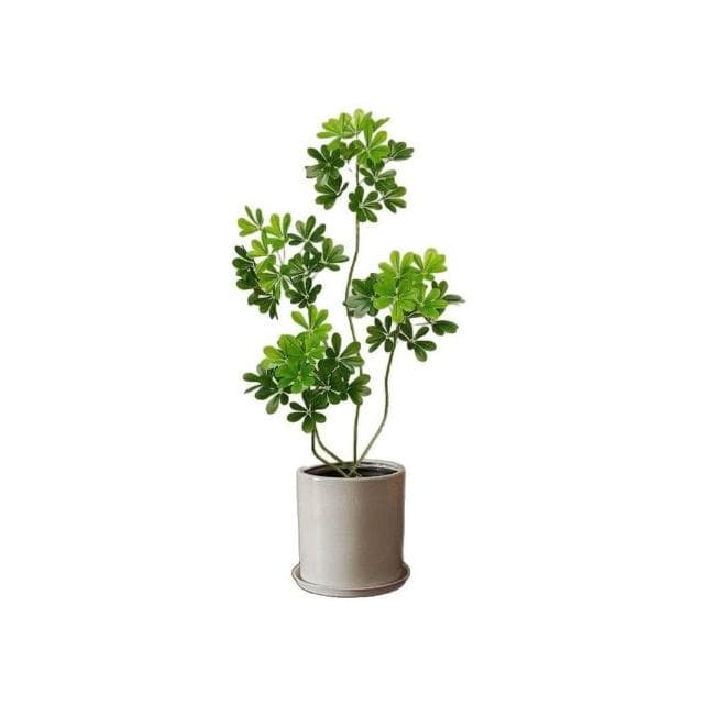 🔥輕奢仿生鴨腳木綠植 室內客廳大盆栽 仿生植物 落地裝飾 仿真園藝 植物擺件 客廳仿真花