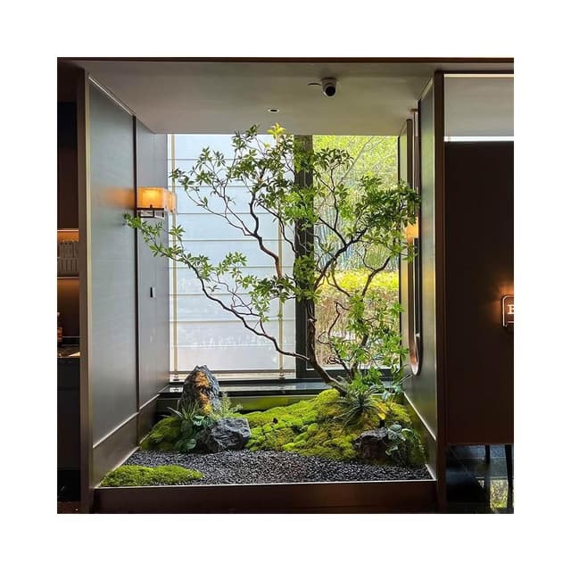 精品馬醉木 綠植造景 櫥窗植物 室內真榕樹 裝飾樹 大型假樹 簡約景觀