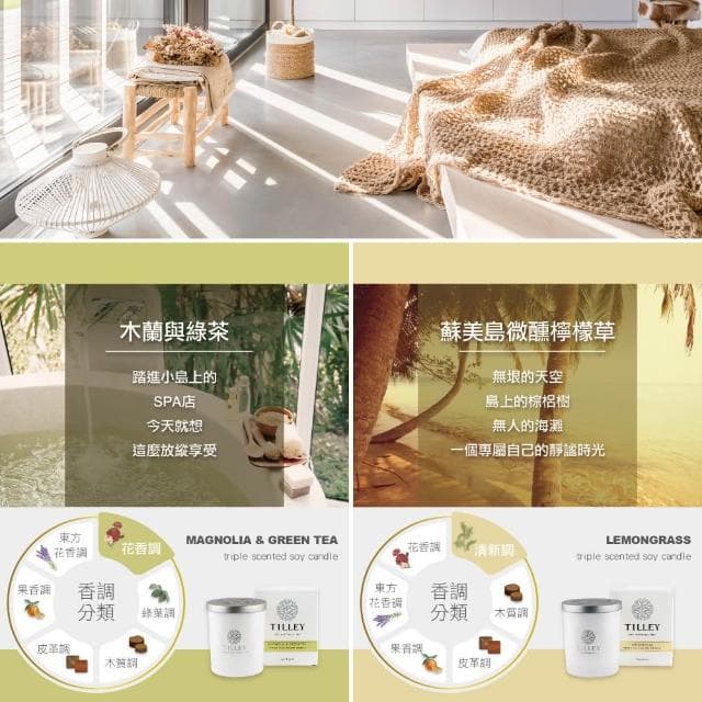 【Tilley 皇家特莉】【Tilley 皇家特莉】澳洲原裝微醺大豆香氛蠟燭240g (共8款可選)