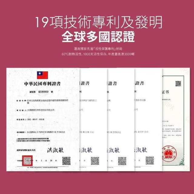 【Labelle 拉蓓】三盒入 正版授權-LABELLE拉蓓 青木瓜豐盈飲 青木瓜 10條/盒