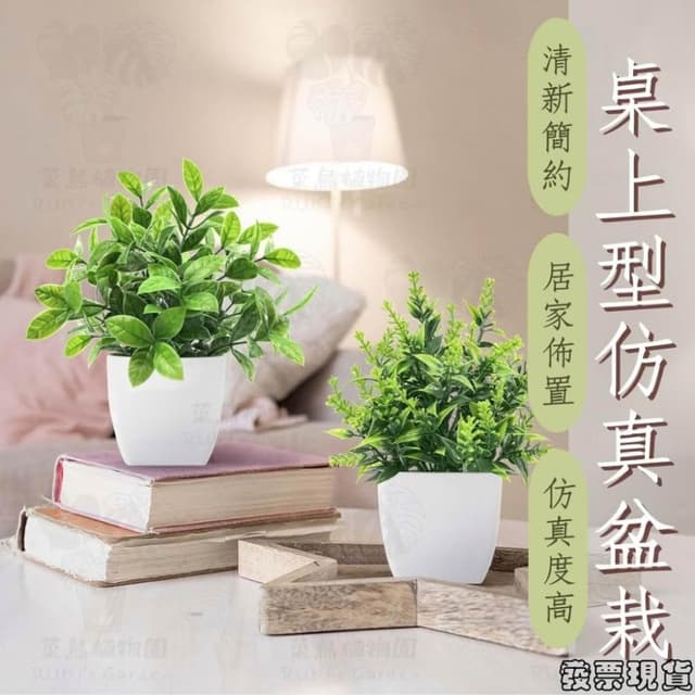  沐晨植物園｜仿真植物 盆栽裝飾 小盆栽假植物 假盆栽 辦公室盆栽 迷你盆栽 仿真盆栽 仿真植物盆栽 居家裝飾 室內盆栽