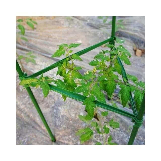 番茄架子 爬藤架 蔬菜架 杆种菜支撑盆栽庭院固定西红柿黄瓜种菜支架 陽臺蕃茄固定植物支撐架 黃瓜攀爬架子 花盆支架