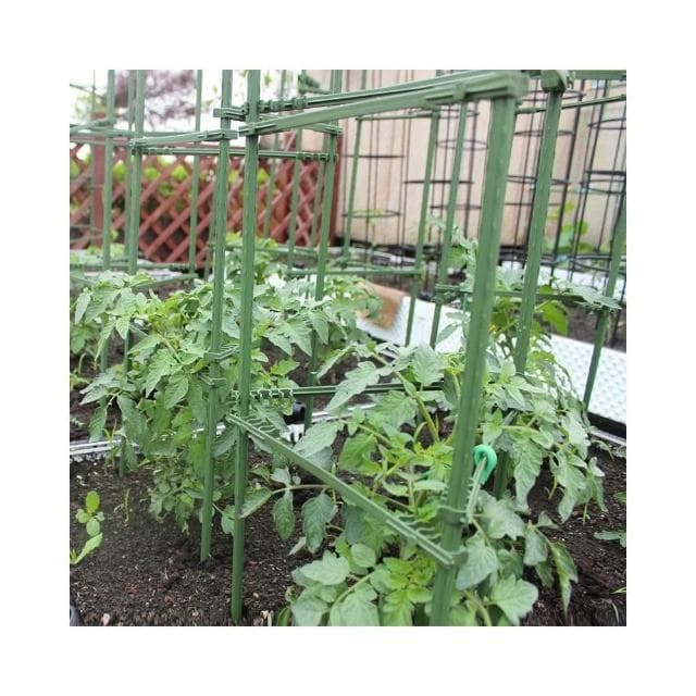 番茄架子 爬藤架 蔬菜架 杆种菜支撑盆栽庭院固定西红柿黄瓜种菜支架 陽臺蕃茄固定植物支撐架 黃瓜攀爬架子 花盆支架