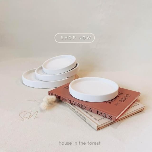 底盤 接水盤 盛水盤 水盤 植物底盤 植栽 盆器