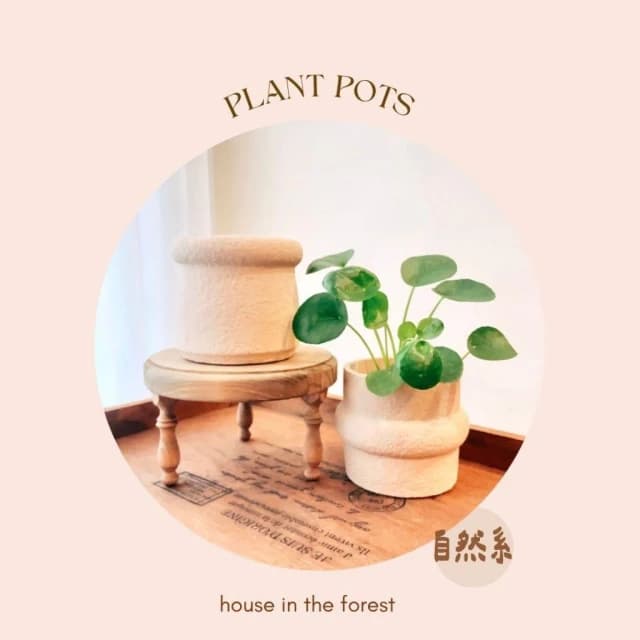 陶盆 岩礦感陶盆 花盆 花器 陶藝品 植栽布置 觀葉植物 多肉植物 虎尾蘭 植物擺設