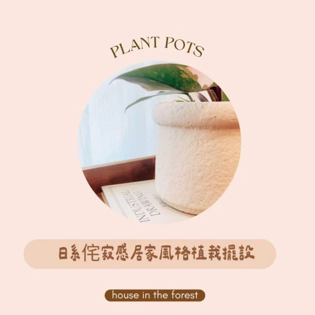 陶盆 岩礦感陶盆 花盆 花器 陶藝品 植栽布置 觀葉植物 多肉植物 虎尾蘭 植物擺設