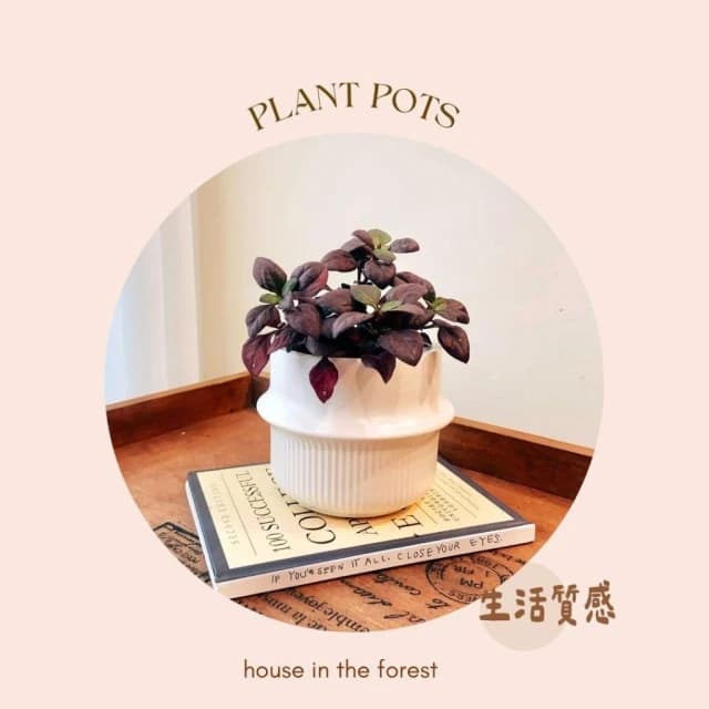 陶盆 韓鍋造型陶盆 花盆 花器 盆器 器皿 陶盆 多肉植物 觀葉植物 居家布置 辦公室植栽 植物