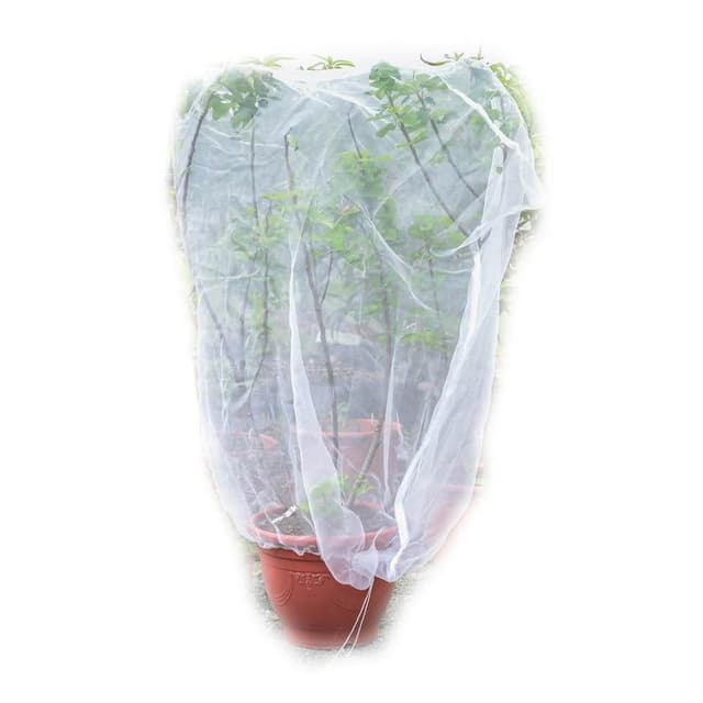 Bingo賓購 尼龍植物防蟲網罩 100x150公分(防鳥罩、防鳥網、無花果樹網、盆栽果樹網)