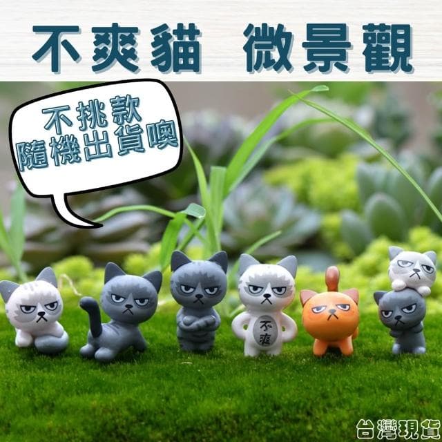 沐晨植物園｜不爽貓 貓咪 臭臉貓 微景觀裝飾 多肉裝飾 生態瓶配件 盆栽裝飾 微景觀配件 公仔 迷你園藝 多肉擺件飾