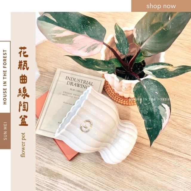 陶盆 花瓶曲線陶盆 花盆 花器 陶藝品 植栽布置 觀葉植物