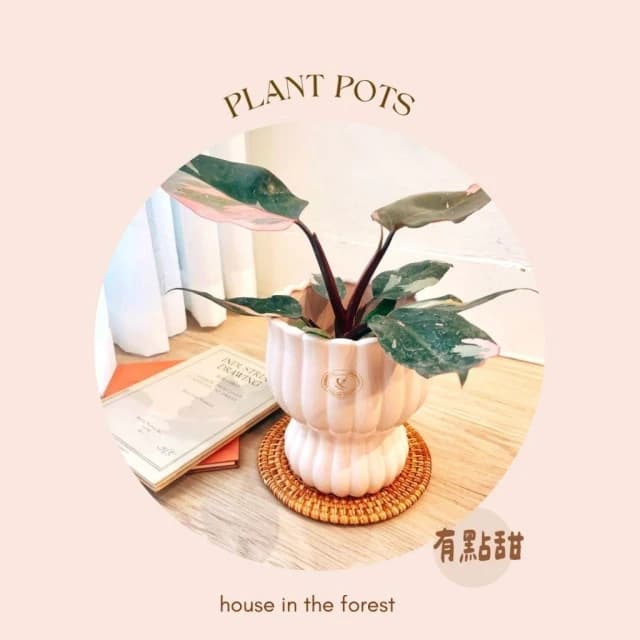 陶盆 花瓶曲線陶盆 花盆 花器 陶藝品 植栽布置 觀葉植物