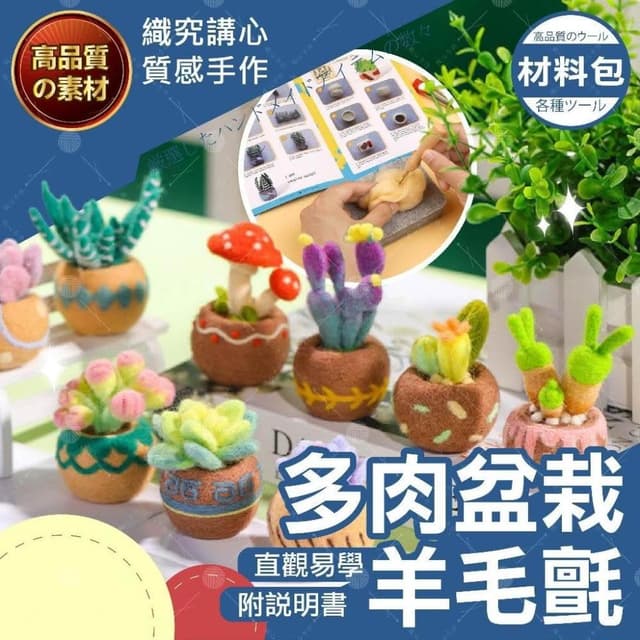 多肉盆栽羊毛氈 手作材料包 羊毛氈材料包 羊毛氈 手工藝 DIY 材料包 美勞 DIY 材料包 DIY植物羊毛氈