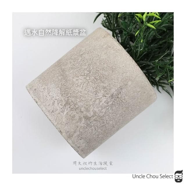 [周大叔 台灣現貨] 仿真植物 桌上盆栽 小盆栽 假植物 辦公室盆栽 人造植物 假盆栽