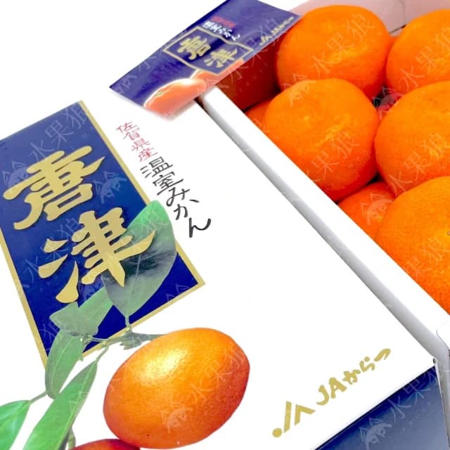 【水果狼】日本佐賀縣唐津蜜柑禮盒 原裝12-15玉 中秋送禮 水果禮盒 1kg±10%