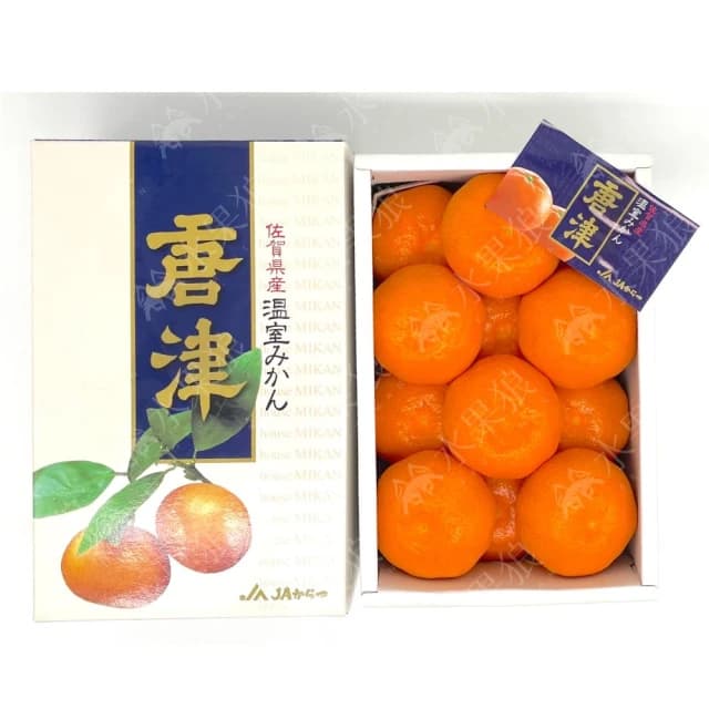 【水果狼】日本佐賀縣唐津蜜柑禮盒 原裝12-15玉 中秋送禮 水果禮盒 1kg±10%