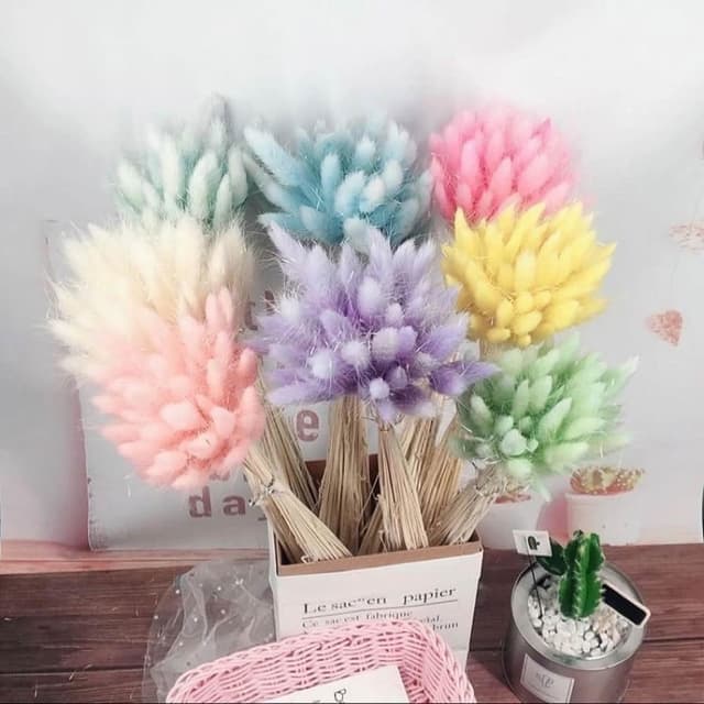 兔尾草 花束 乾燥花 永生花 乾燥花花束 拍照道具背景 店內裝飾 生日禮物 情人節禮物 居家佈置