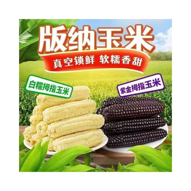 紫糯拇指玉米西雙版納香糯小玉米棒糯玉米拇指玉米棒黏玉米棒