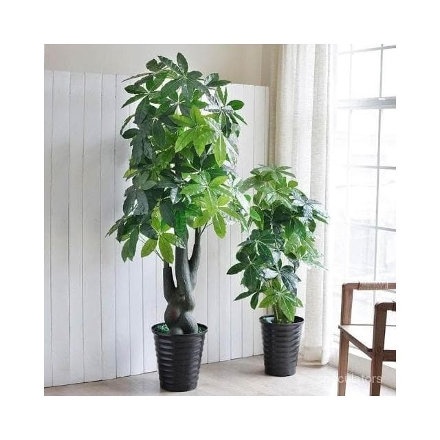 大型假花仿真髮財樹室內裝飾植物客廳落地假盆栽花樹綠植塑料盆景