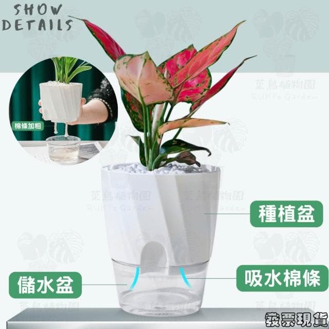 沐晨植物園｜懶人花盆 懶人盆栽 吸水花盆 自吸水花盆  免澆水花盆 懶人花盆 吸水盆栽 室內花盆 自吸水花盆